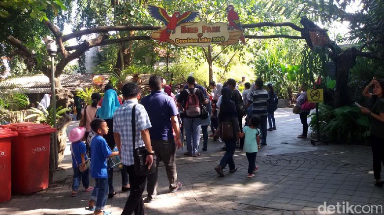 Pengunjung Gembira Loka Yogyakarta Turun 20 Persen