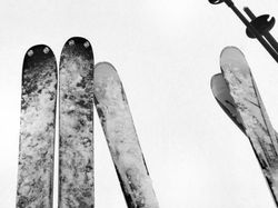 Deretan Jawara iPhone Photography Awards