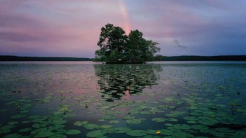 Pemenang kategori Nature diraih Aaronb Sandberg dari Chicago, AS. Menggunakan iPhone 6S. Foto: IPPAWARDS