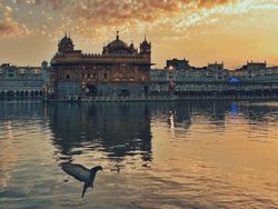 Deretan Jawara iPhone Photography Awards