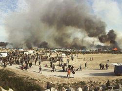 Deretan Jawara iPhone Photography Awards