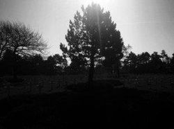 Deretan Jawara iPhone Photography Awards