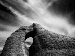 Deretan Jawara iPhone Photography Awards