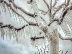 Deretan Jawara iPhone Photography Awards