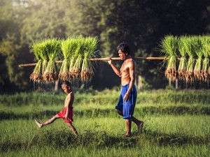 Kenang Masa Kecil Main Lumpur, Datang ke Omah Kecebong