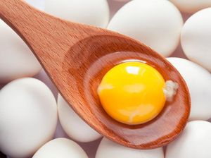 Peneliti Jepang Kembangkan Obat Kanker Murah Dari Telur Ayam