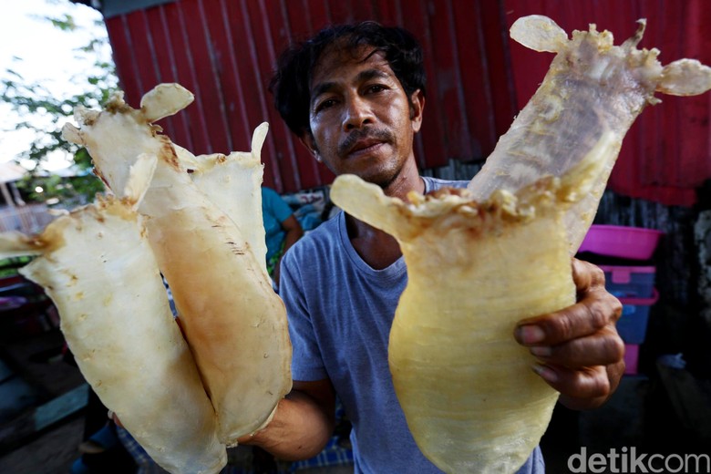 Menjala Ratusan Juta Rupiah dari Gelembung Ikan di Merauke