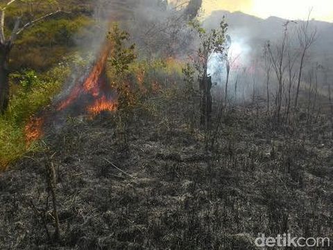 Kebakaran hutan di Trenggalek/
