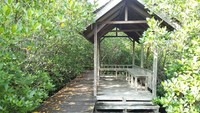 Trek ini memiliki 2 jalur treking. Sehingga kamu bisa pulang pergi dengan pemandangan yang berbeda. Ada juga beberapa pendopo yang bisa kamu singgahi (Bonauli/detikTravel)