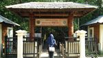 Lebaran Usai, Siapkan Liburan ke Hutan Mangrove Karimunjawa