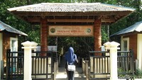 Hutan mangrove terletak di Desa Kemujan, Kecamatan Karimun. Jaraknya sekitar 45 menit dari Pelabuhan Karimun (Bonauli/detikTravel)