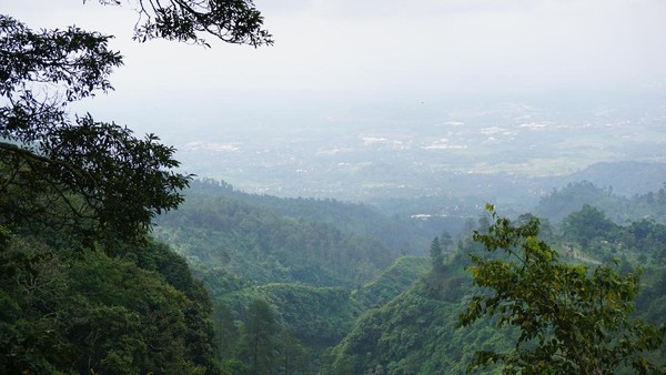 Kawasan wisata Basecamp Mawar Gunung Ungaran menjadi favorit dari anak muda hingga orang tua untuk melepas penat. Udara yang segar, hawa yang sejuk dan pemandangan yang indah dari ketinggian menjadi alasan traveler mengunjunginya (Masaul/detikTravel) Kawasan wisata Basecamp Mawar Gunung Ungaran menjadi favorit dari anak muda hingga orang tua untuk melepas penat. Udara yang segar, hawa yang sejuk dan pemandangan yang indah dari ketinggian menjadi alasan traveler mengunjunginya (Masaul/detikTravel)