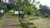 Jika traveler mengunjungi tempat ini, bisa menikmati beberapa hal selain mendaki Gunung Ungaran. Adapun beberapa aktivitas itu antara lain, menjajal kawasan wisata di Umbul Sidomukti, menikmati pemandangan sambil menyeruput kopi di Pondok Kopi, berkemah di camping ground Basecamp Mawar Gunung Ungaran, bersepeda ekstrem down hill hingga paralayang (Masaul/detikTravel)