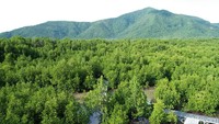 Di setiap tingkatnya, traveler bisa melihat pemandangan Bukit Karimun, hutan mangrove dan lautan luas yang memanjakan mata (Bonauli/detikTravel)