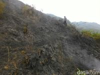 Kebakaran hutan di Trenggalek/