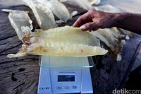 Harga gelembung ikan ini cukup tinggi