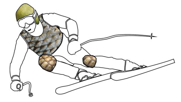 BMW Terinspirasi Buah Pomelo dalam Membuat Helm