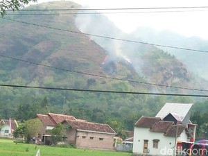 Lebih 2,5 Hektare Hutan di Trenggalek Terbakar