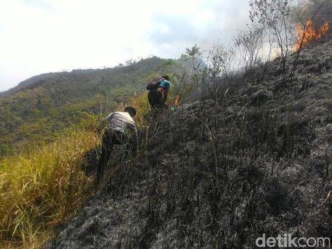 Kebakaran hutan di Trenggalek/