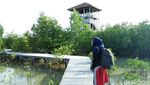 Lebaran Usai, Siapkan Liburan ke Hutan Mangrove Karimunjawa