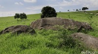 Padang Mengatas ini juga dijuluki sebagai New Zealand versi Indonesia karena pemandangan savana luas layaknya padang rumput Australia dan Selandia Baru dengan view berbukit-bukit dan Sapi yang sangat banyak.