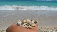 Foto: Di bagian lain pantai, ada pecahan karang yang menutupi pasirnya. Tapi itu tidak mengurangi keindahan dari pantai ini (Haris/detikTravel)
