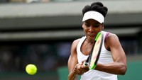 Sebagai unggulan kesepuluh, Venus melewati babak pertama dengan mudah. Dia menang atas Elise Mertens straight set 7-6 (7), 6-4, pada Senin (3/7/2017). Foto: Michael Steele/Getty Images