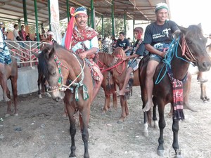 Parade 1.001 Kuda Sandelwood Berlanjut di Tambolaka