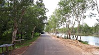 Biras berada di dekat pintu masuk dari Taman Nasional Wasur. Lokasinya ada di kanan jalanan beraspal (Afif/detikTravel)