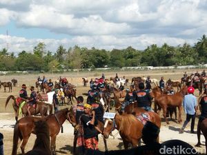 Jelang Parade 1001 Kuda Sumba, Kadispar NTT: Persiapan Sudah Oke!