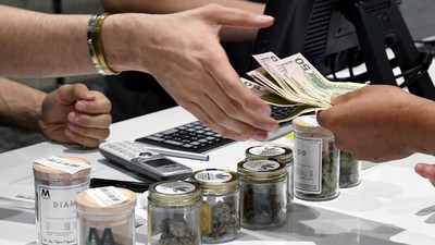 Bisnis Ganja Sudah Legal di Kota Ini