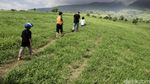 Pesona Padang Mangatas, New Zealand Indonesia