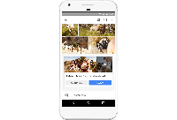 Tips Berbagi Foto Pakai Google Photos  