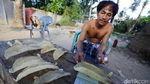 Berburu Gelembung Ikan Ratusan Juta Rupiah