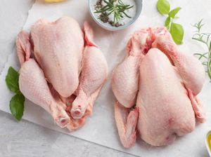 Kenapa Ayam Broiler Paling Cocok untuk Fried Chicken?