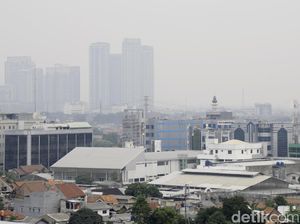 Rumah Dekat Jalan Raya? Waspada Pria Jadi Sulit Ereksi