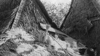 Sebuah rumah sederhana di Jawa dalam foto tahun 1947. Indonesia baru saja merdeka. Foto: Getty Images