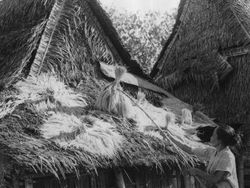 Potret Pedesaan Indonesia Zaman Dahulu Kala