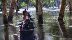 Foto: TNI Patroli di Perbatasan Pedalaman Papua
