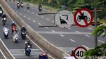 Abaikan Rambu Lalu Lintas, Pemotor Nekat Terobos Flyover