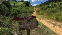 Sampai di lokasi, traveler langsung disuguhkan udara nan sejuk dan tentunya berbeda dari wilayah kota yang cukup panas. Di sini hutan masih cukup rimbun dengan sisi kanan kirinya jalan ada beberapa rumah yang jaraknya berjauhan (Maikel/detikTravel)