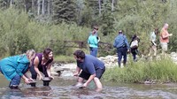 Tradisi mencari emas itu pun telah berlangsung dari tahun 1986 hingga hari ini. Bedanya, sekarang wisatawan juga ikut-ikutan mencari emas (Dawson City)