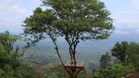 Kini, sudah banyak yang mendirikan tenda dan bahkan pada tahun baru kemarin sampai 30 tenda. Mereka mendirikan tenda di dua camp area, yakni di Pos 4 sama sebelum puncak (Dok pribadi Ari Kurniawan)