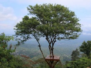 Okupansi Hotel di Jateng Turun Sekitar 20% Akibat Corona