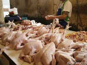 Pemerintah Jamin Daging Ayam Brasil Nggak Bakal Banjiri RI