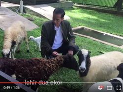 Gaya Kocak Kaesang, Sang YouTuber #Ndeso