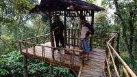 Anda yang datang bisa pula menikmati kopi asli Kelir yang berjenis robusta. Jika ingin membeli bubuknya 100 gram dihargai Rp 15 ribu dan bila diseduh di warung-warung cuma Rp 5 ribu (Dok pribadi Ari Kurniawan)