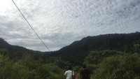Perjalanan hanya sekitar 30 menit untuk sampai ke area Lubuk Minturun dari Kota Padang menggunakan mobil. Tidak begitu sulit untuk menemukan tempat itu, karena ada petunjuk jalannya (Maikel/detikTravel)