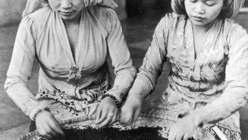 Dua orang perempuan mengolah daun teh di Jawa pada tahun 1930-an. Foto: Getty Images