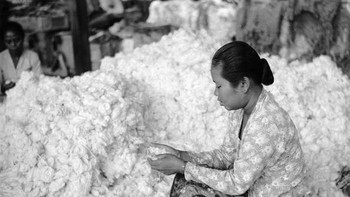 Seorang ibu mengolah kapas pada tahun 1955. Foto: Getty Images